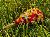 Nugget Pellet